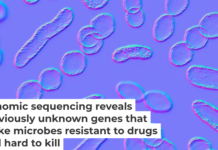 Researchers are using genomics and bioinformatics to reveal antimicrobial resistance before it comes widespread. Kateryna Kon/Science Photo Library via Getty Images